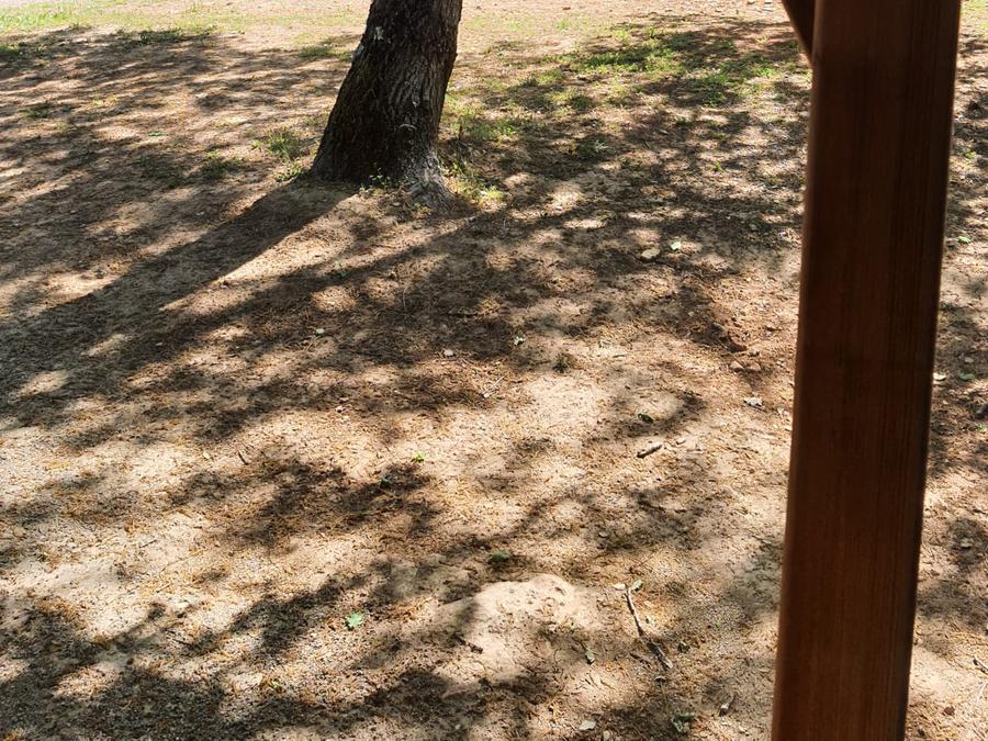 Tente en toile et en bois 2 personnes - Mini-Lodge (Photos non contractuelles : en cours d'installation) 8