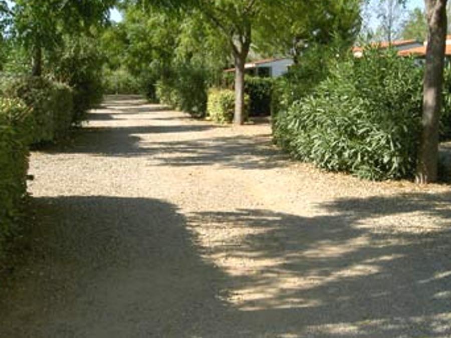 Chalet 4 personnes - Chalet 25 m2 1