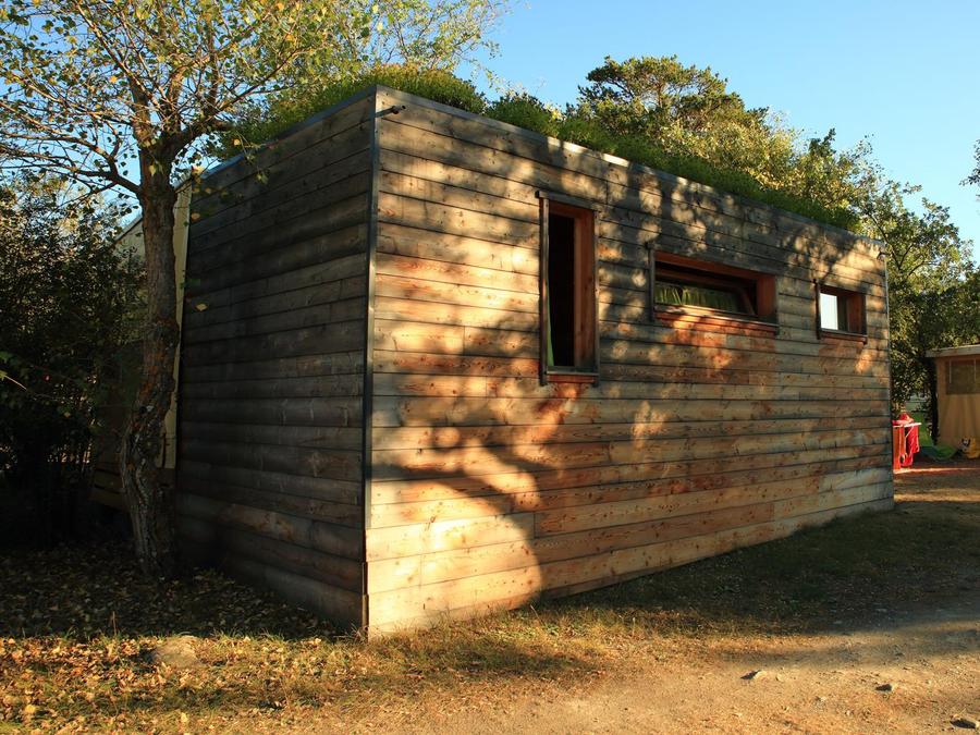 Lodge 5 personnes - Ecolodge Végétalisé Nature sans sanitaire 1