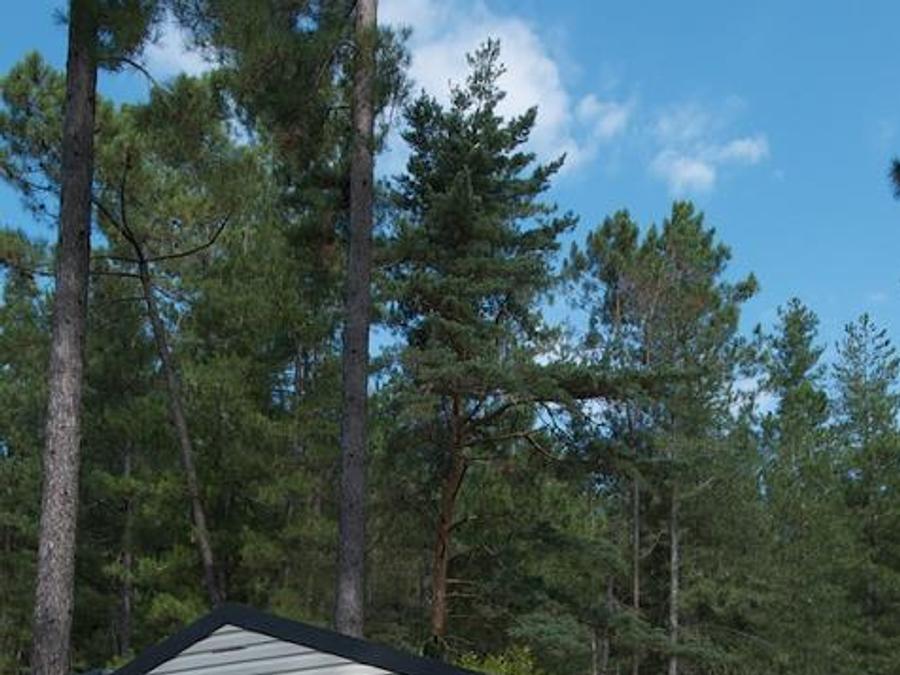 Mobilhome 5 personnes - PIC VERT - Mobil-home 28 m² 1