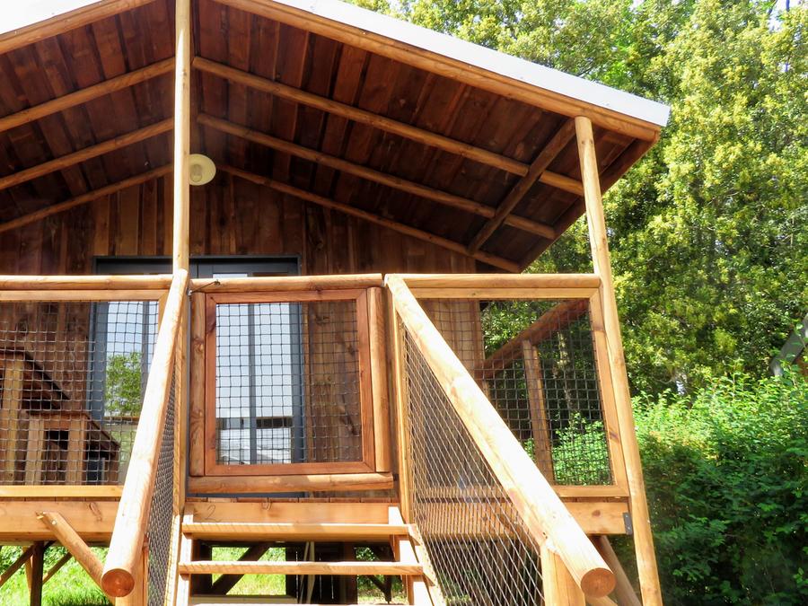 Lodge 4 personnes - Lodge Feroe 20m² (1 chambre) Climatisation 1