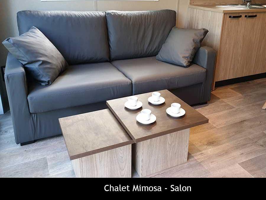 Chalet 4 personnes - Mimosa - TV - 47 m² avec terrasse couverte - 2 chambres 2