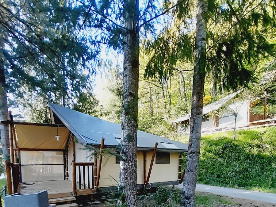 Tente 4 personnes - Standard Lodge Jungle - Sans sanitaires 10