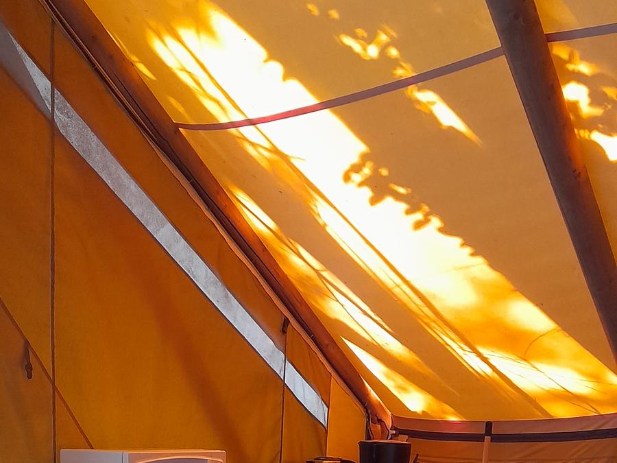 Lodge 3 personnes - Lodge Central 24m² - 1 chambre - coin cuisine - salle d'eau - Hébergement de plain pied accessible PMR 7