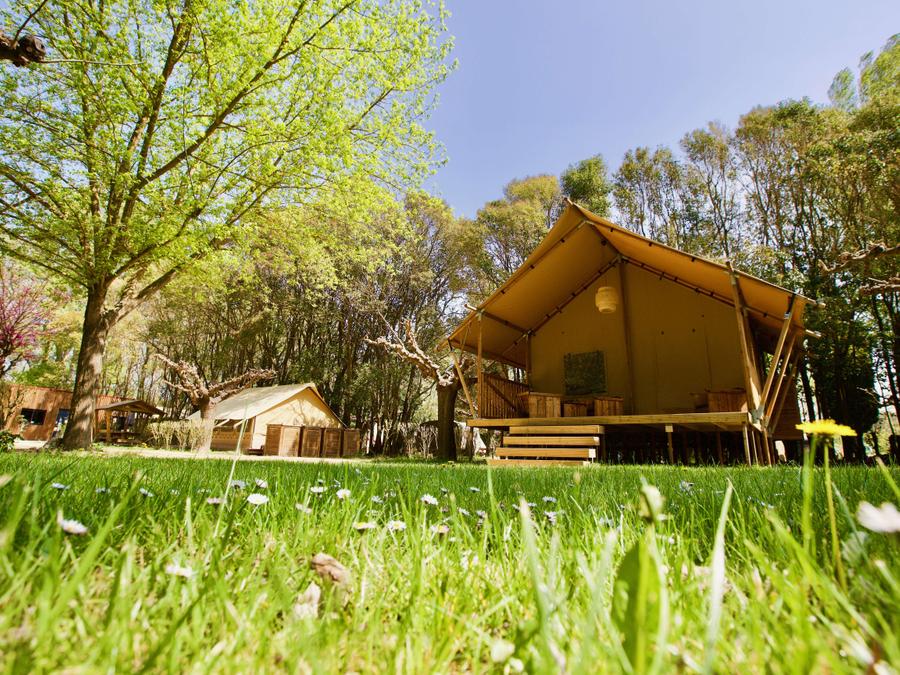 Lodge 4 personnes - Lodge Essentiel 30m² + 15m² en mezzanine - 2 chambres - cuisine - salle d'eau 0