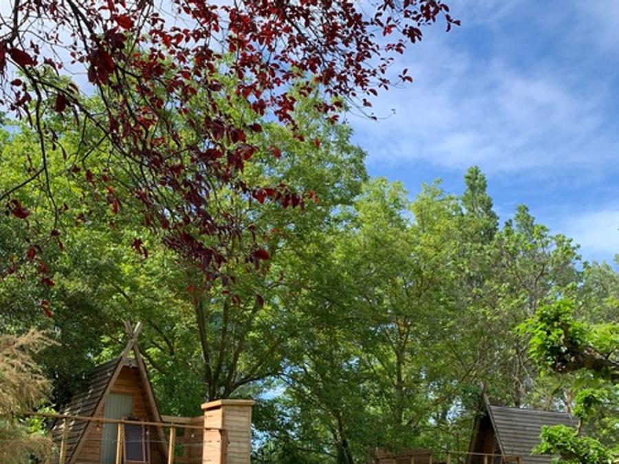 Chalet 2 personnes - Cabane perchée source - sans douche - avec wc et cuisine 1