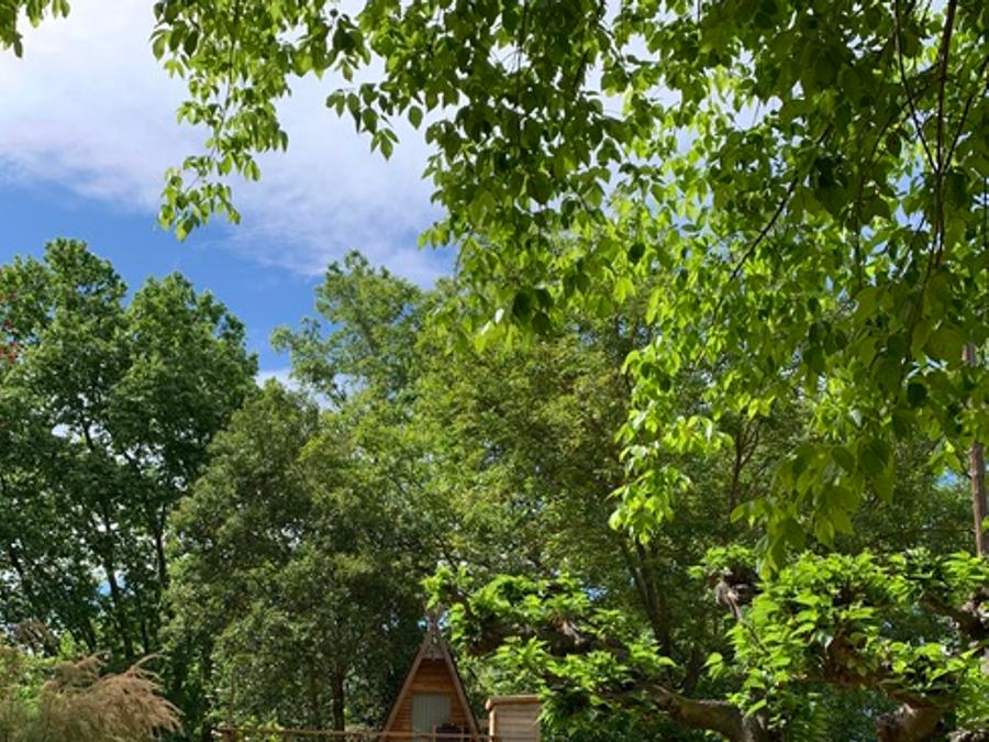 Chalet 2 personnes - Cabane perchée source - sans douche - avec wc et cuisine 0