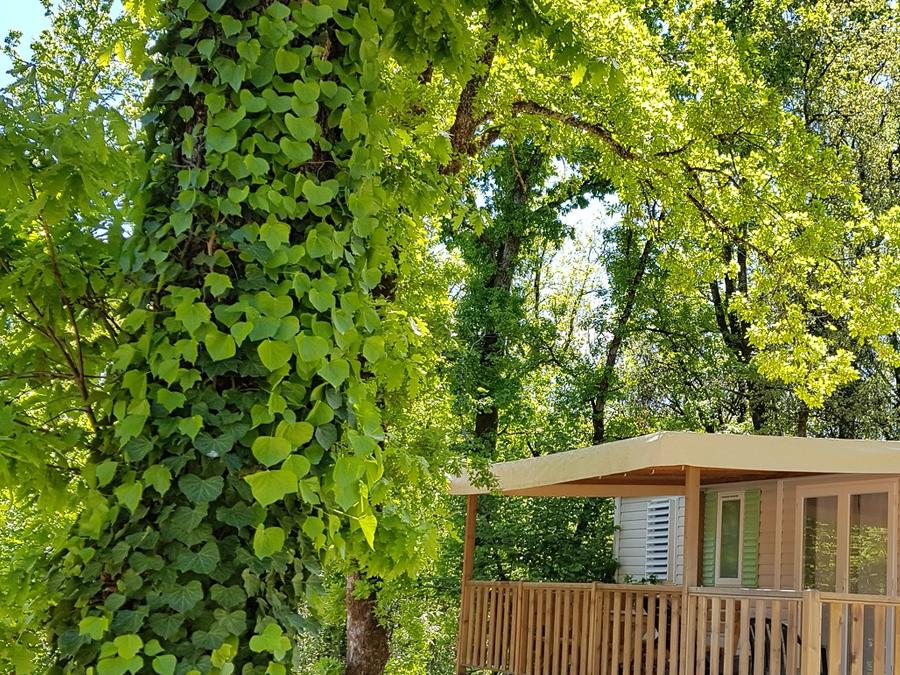 Mobilhome 6 personnes - Cottage LE CORDELIA - climatisé - 3 chambres - D 8