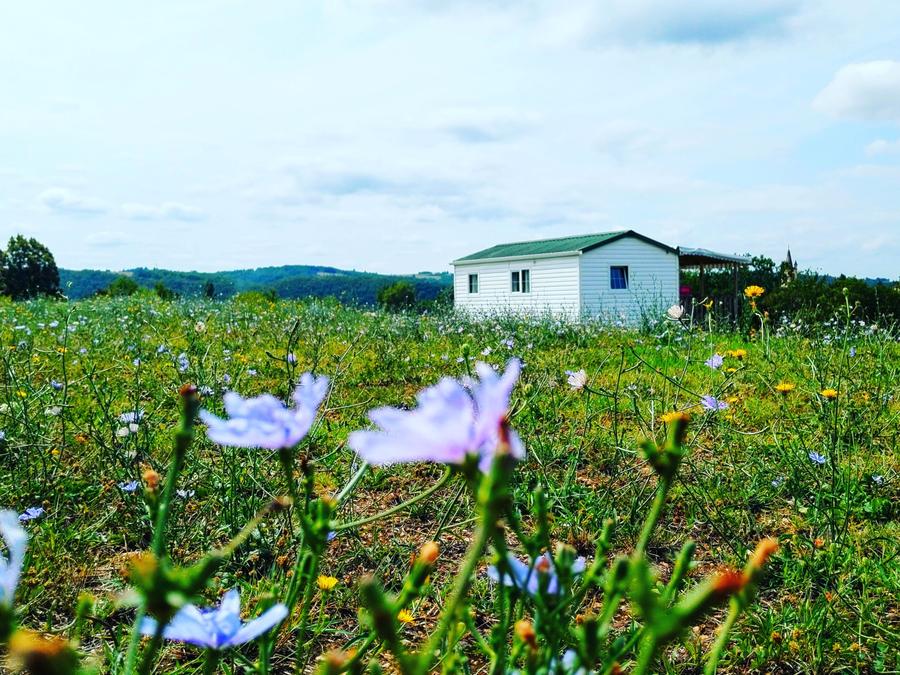 Mobilhome 6 personnes - DORDOGNE (climatisé) 8