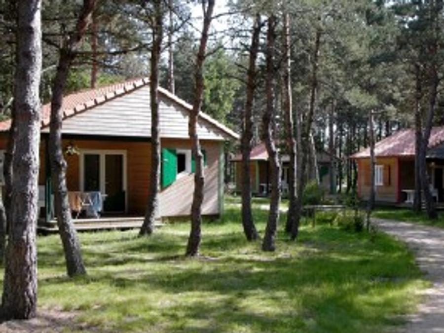Chalet 4 personnes - CHALET SANS TV 4/6 PERS GL + SUP 0
