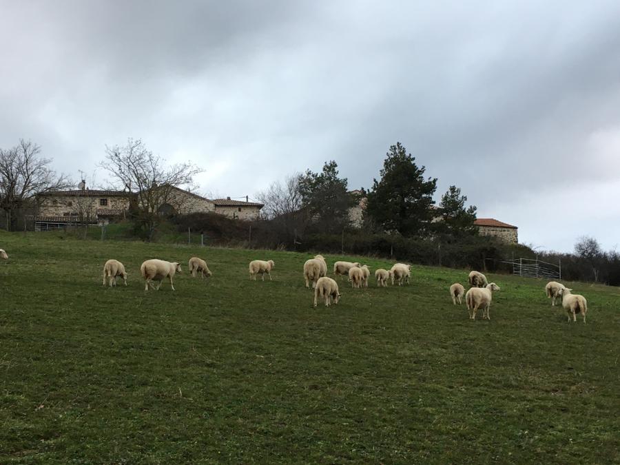 Gîte 4 personnes - Rural 4