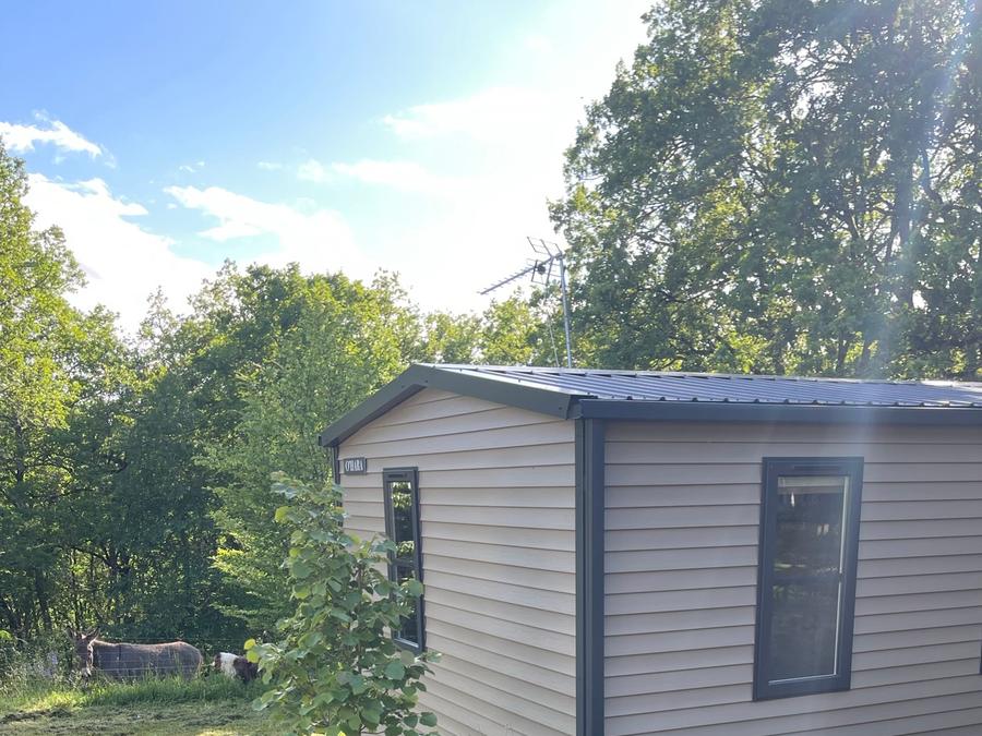 Mobilhome 6 personnes - Confort Ohara 884 3ch avec Climatisation 3