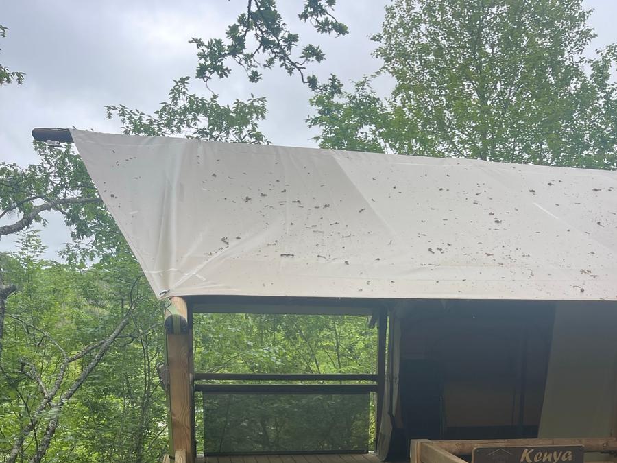 Tente en toile et en bois 5 personnes - Tente Kenya avec SDB 0