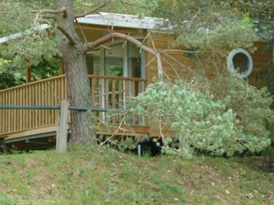 Mobilhome 4 personnes - Lavalette - Mobil Home 4* 4 pers 1