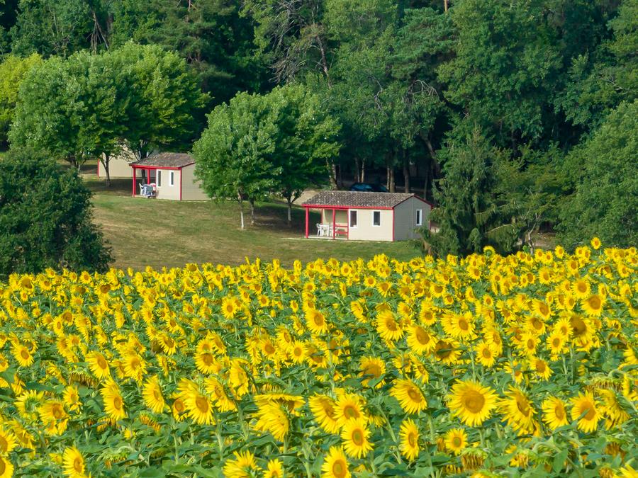 Chalet 5 personnes - Chalet Le Parc 36m² - 2 chambres 1