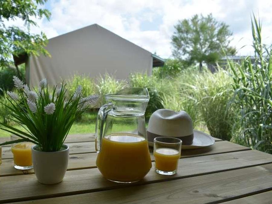 Bungalow toilé 5 personnes - Lodge Confort Freeflower 4