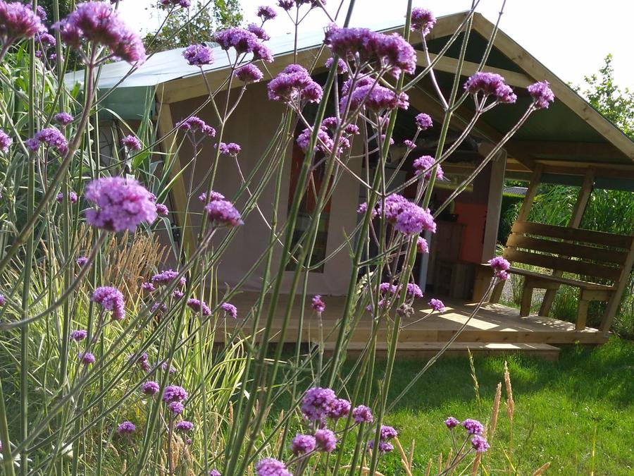 Bungalow toilé 5 personnes - Lodge Confort Freeflower 5