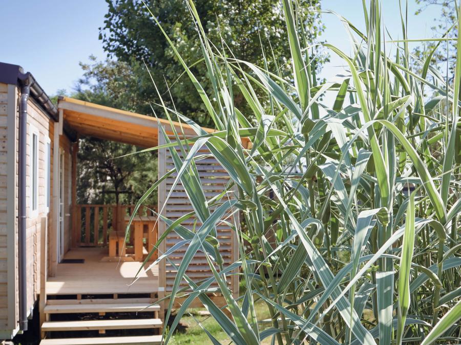 Mobilhome 6 personnes - Cottage confort 32m² (3 chambres) + terrasse couverte + TV + Draps inclus 4