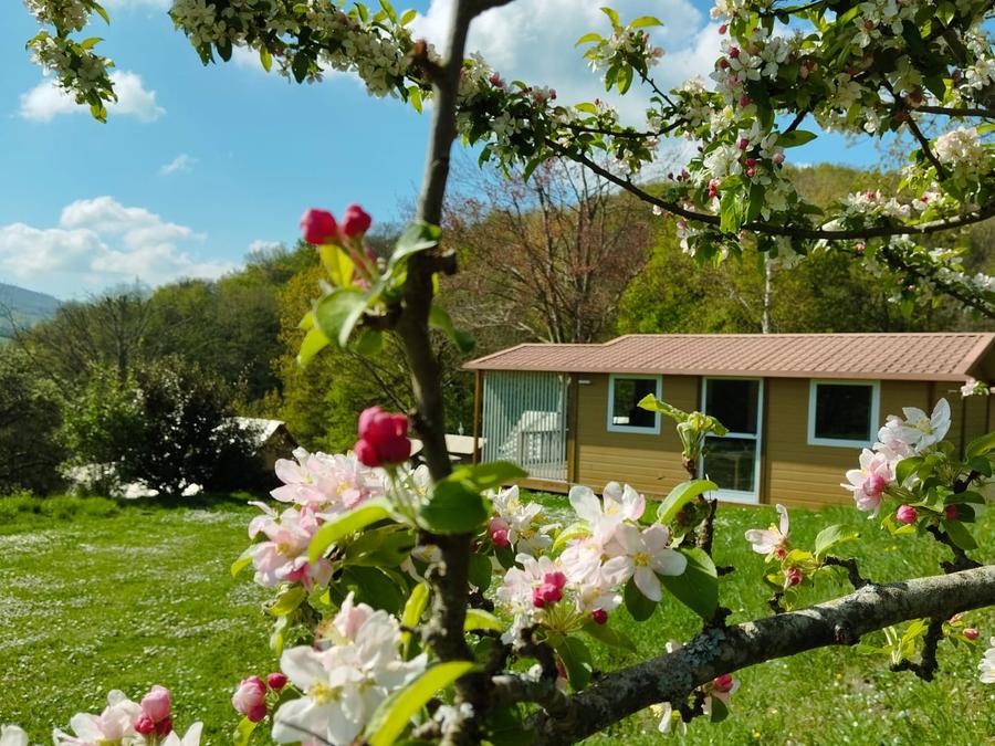 Chalet 4 personnes - Chalet Standard 28m² - 2 chambres - terrasse couverte 6
