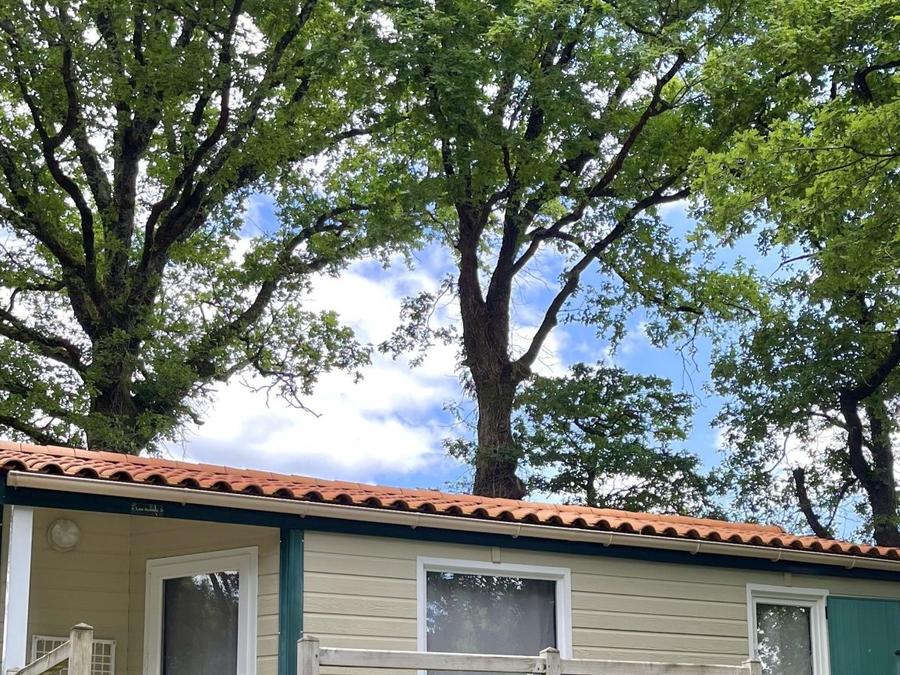 Chalet 6 personnes - Chalet 36 - 2 chambres 0