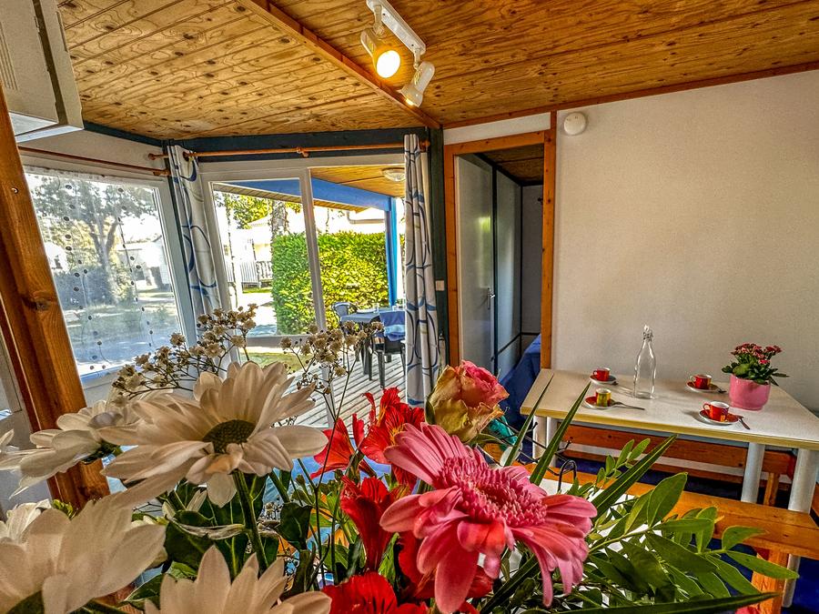 Chalet 4 personnes - Chalet Azur 2 chambres terrasse intégrée 1/4 pers 3