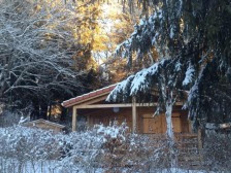Chalet 4 personnes - Chalet Bouleau - 2 chambres - personnes supplémentaires possible en supplément, contacter le camping 6