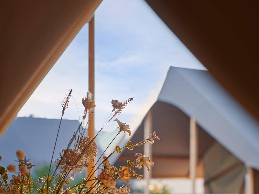 Lodge 5 personnes - Bungalow toilé 'Tente Lodge' 26m² 3