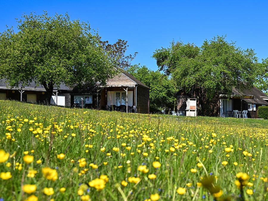 Chalet 7 personnes - Chalet 35m² (2 chambres) terrasse couverte - Le Parc des Coteaux 800m du camping 5/7 pers 7