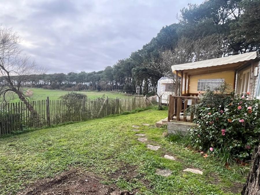 Mobilhome 6 personnes - Mobil home Confort plus - 33m² - 3 chambres - terrasse couverte 1