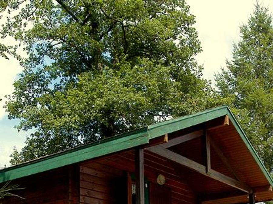 Chalet 4 personnes - ISABELLE sans sanitaires 0