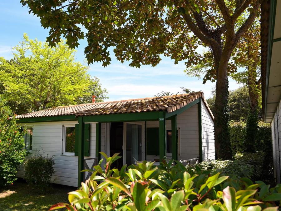 Chalet 5 personnes - MATTHIOLE 6