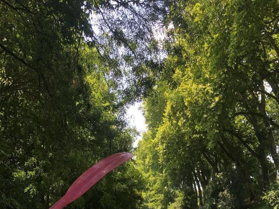 Unique 4 personnes - Roulottes du Val de Saône ( 2 adultes + 2 enfants) 10