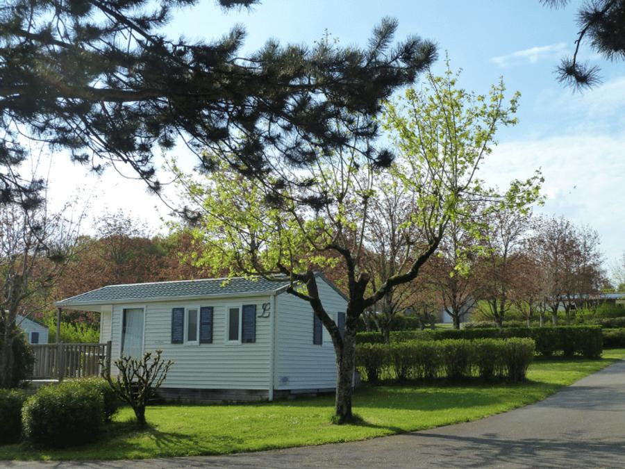 Mobilhome 5 personnes - MOBIL-HOME 25m² 4