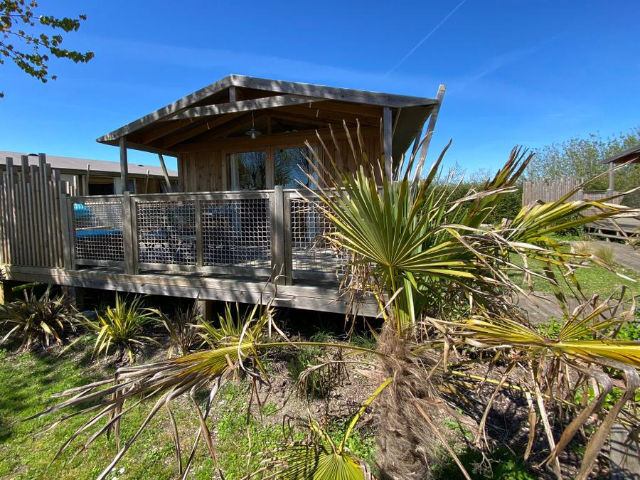 Lodge 4 personnes - Cabane lodge Sweet Flower Confort + 32m² 2 chambres 4 pers 20