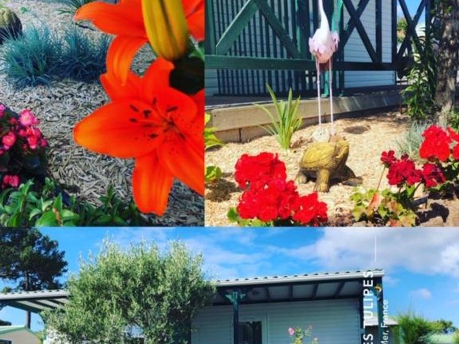 Chalet 2 personnes - Chalet mitoyen 16m² - 1 chambre + terrasse couverte 8m² 2 pers 1