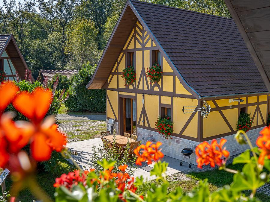 Chalet 8 personnes - Chalet Alsacien 8 pers 5