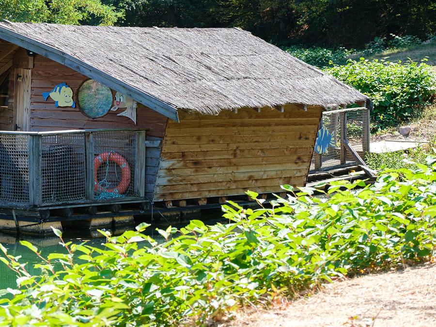 Insolite 4 personnes - Cabane Flottante Ariel 4 pers 1