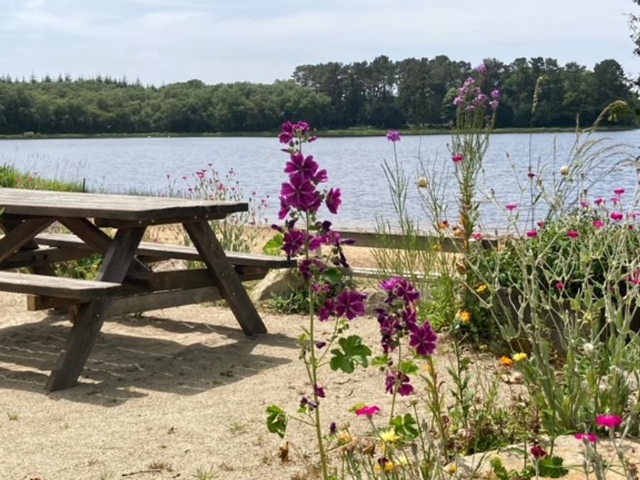 Hébergement 4 personnes - L'ALCHIMISTE géodésique confortable en bois 38m2 - 4 personnes 8