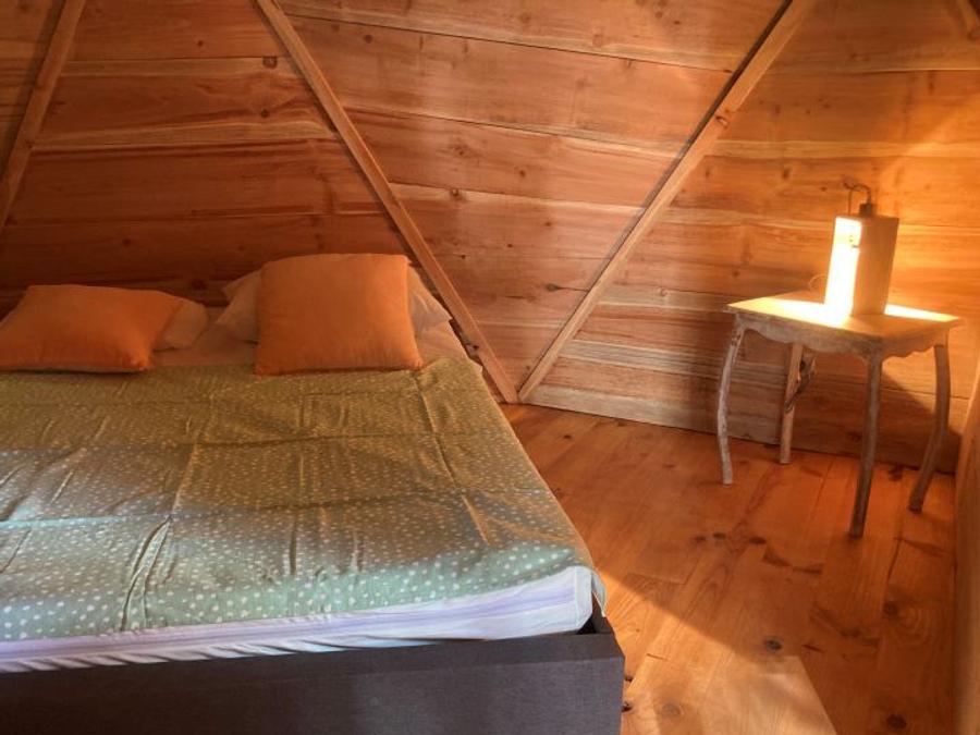 Hébergement 4 personnes - L'ALCHIMISTE géodésique confortable en bois 38m2 - 4 personnes 4