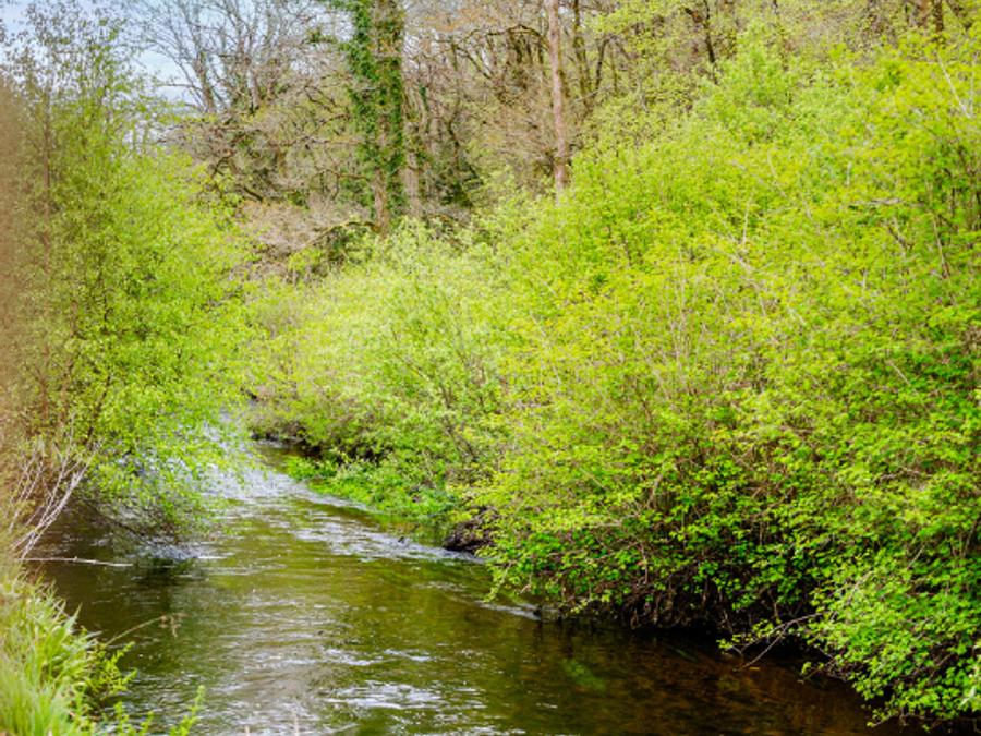 Hébergement 5 personnes - Dôme vue rivière 6