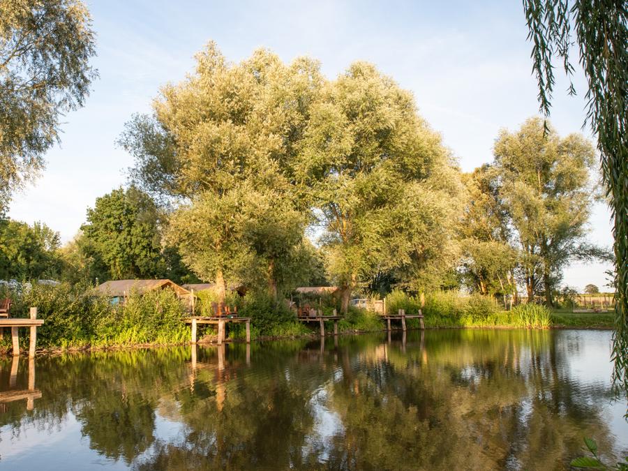 Tente 5 personnes - Tente Insolite Nature Confort Lodge 2 ch - Sans sanitaires 32