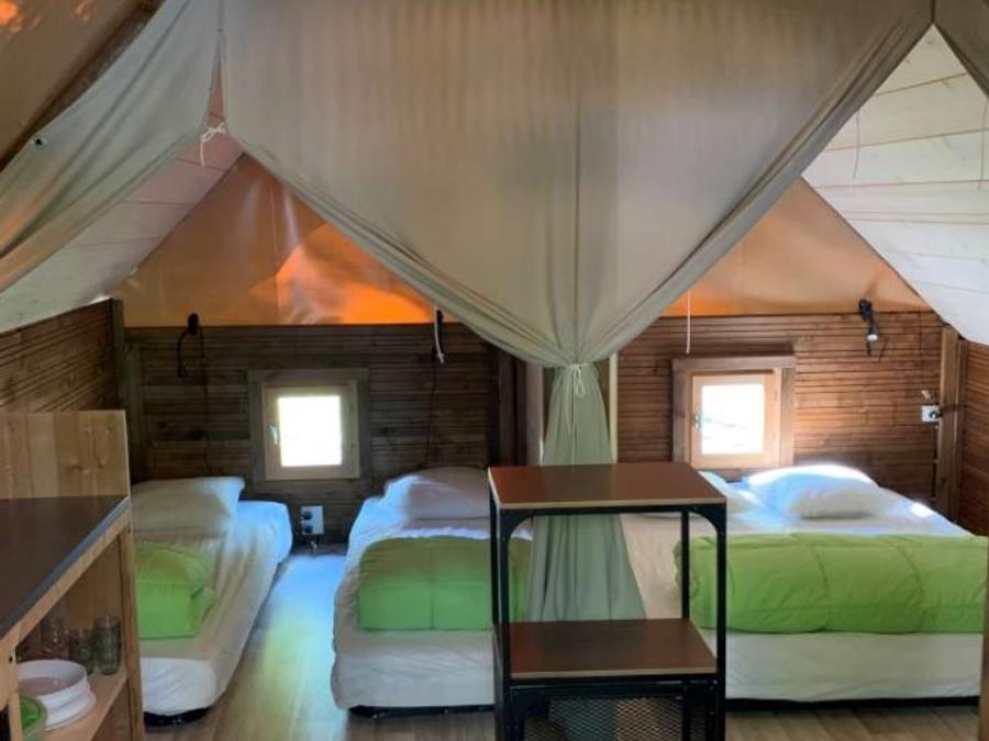 Lodge 4 personnes - Lodge Amazone standard 20 m2 + Terrasse 1