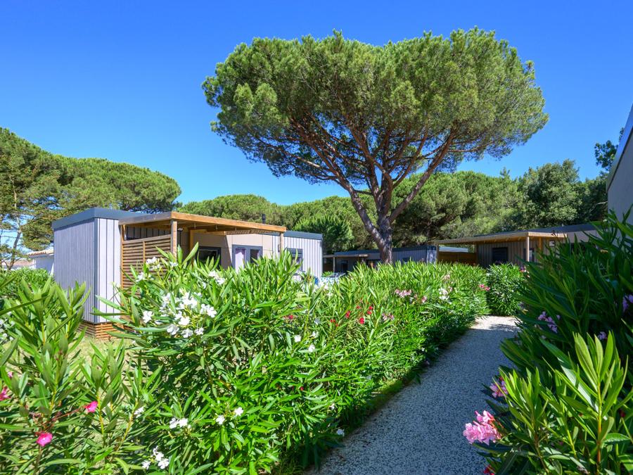 Mobilhome 4 personnes - OCEANE PREMIUM 2 chambres 0