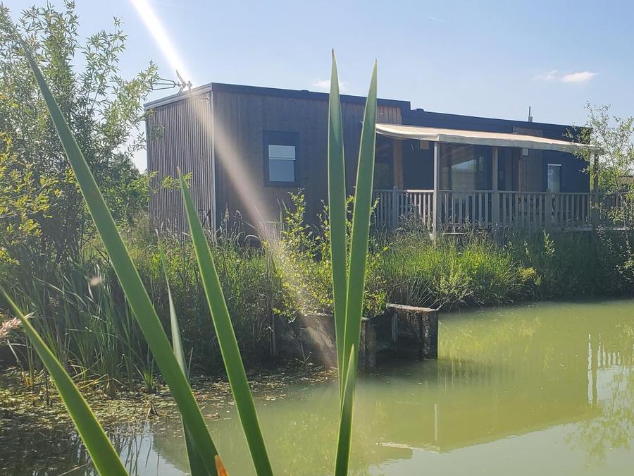 Mobilhome 6 personnes - COTTAGE PREMIUM EN BORD D'ETANG 9