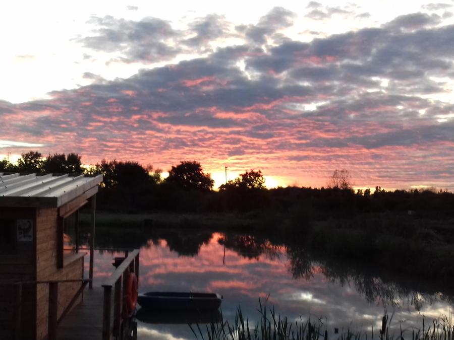 Tiny house 3 personnes - Lodge Flottante 3