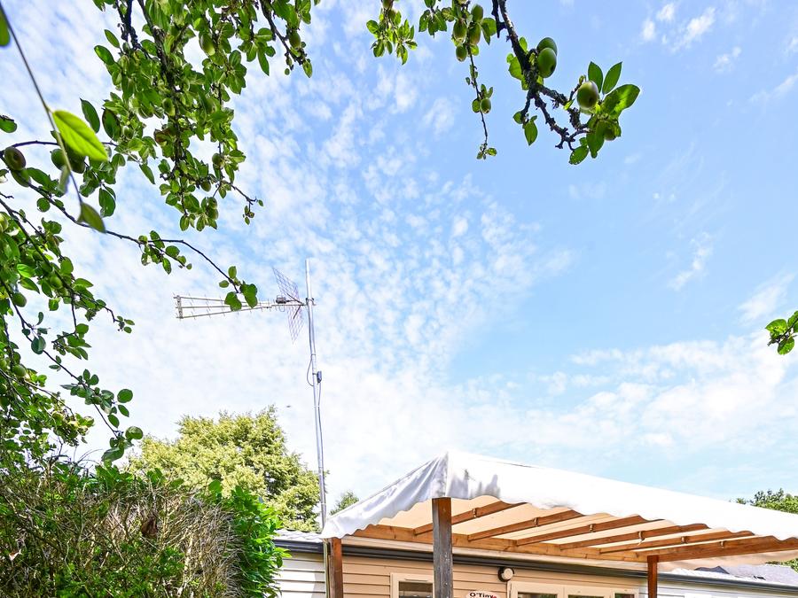 Mobilhome 7 personnes - CARNAC Confort 10