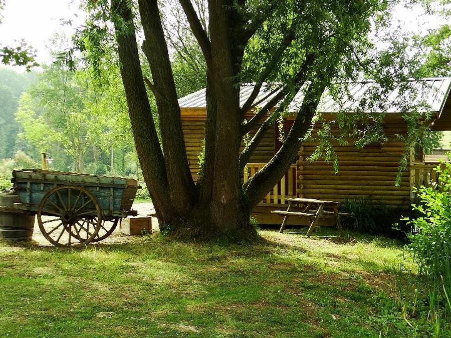 Chalet 2 personnes - Cabane du GRIZZLI (Lit rond, douche italienne) 7