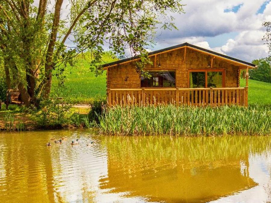 Chalet 2 personnes - Cabane du GRIZZLI (Lit rond, douche italienne) 0