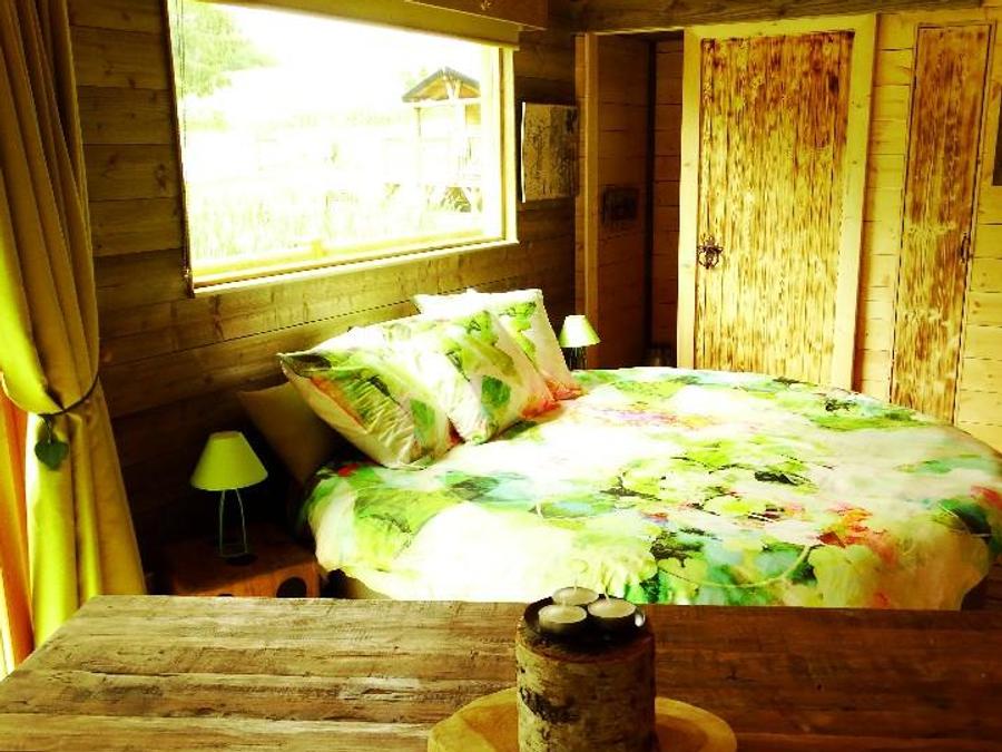 Chalet 2 personnes - Cabane du GRIZZLI (Lit rond, douche italienne) 1