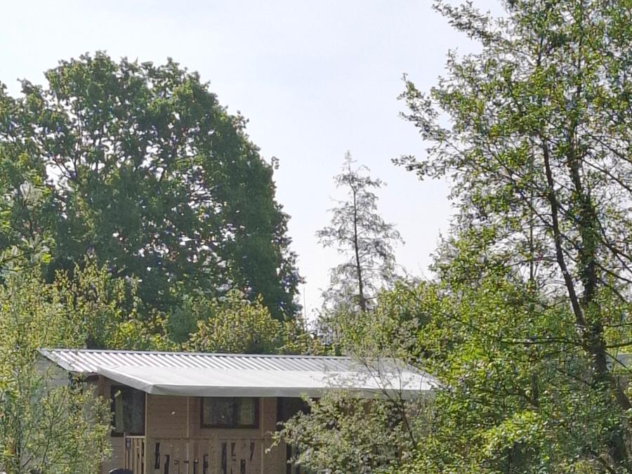 Mobilhome 6 personnes - LE TREFLE D'EAU Parcelle 4- 3 Chambres 0
